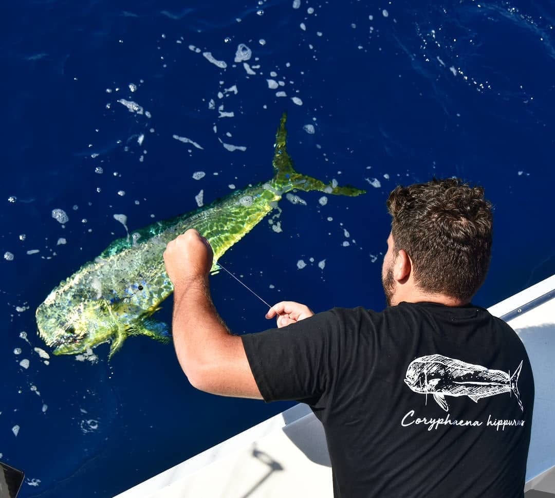 Post 8 by Fly-Fish® on Instagram (image)