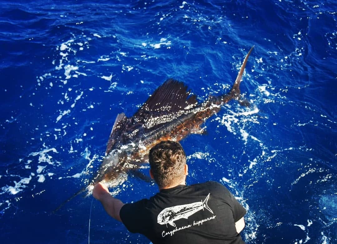 Post 1 by Fly-Fish® on Instagram (image)