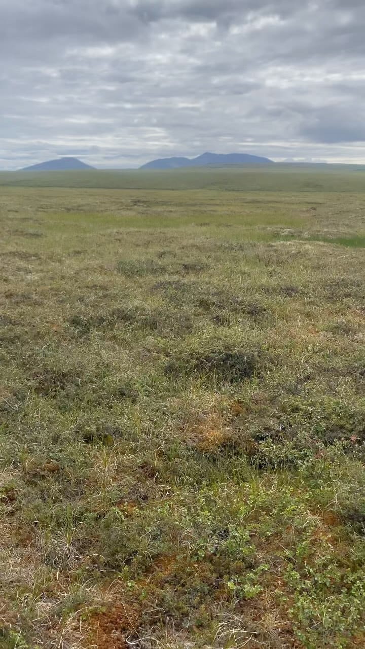 Post 1 by Nikita Zirianov on Instagram (video)