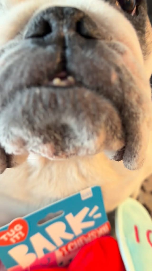 Post 7 by Romeo & Juliet on Instagram (video)