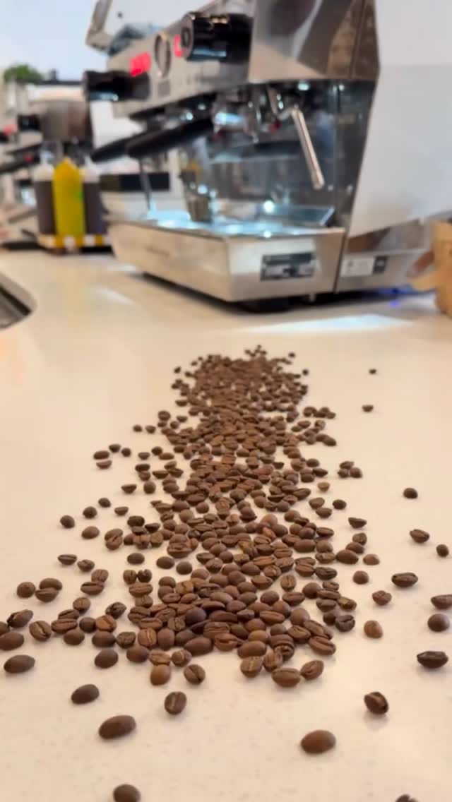 Post 2 by Shortwave Coffee on Instagram (video)