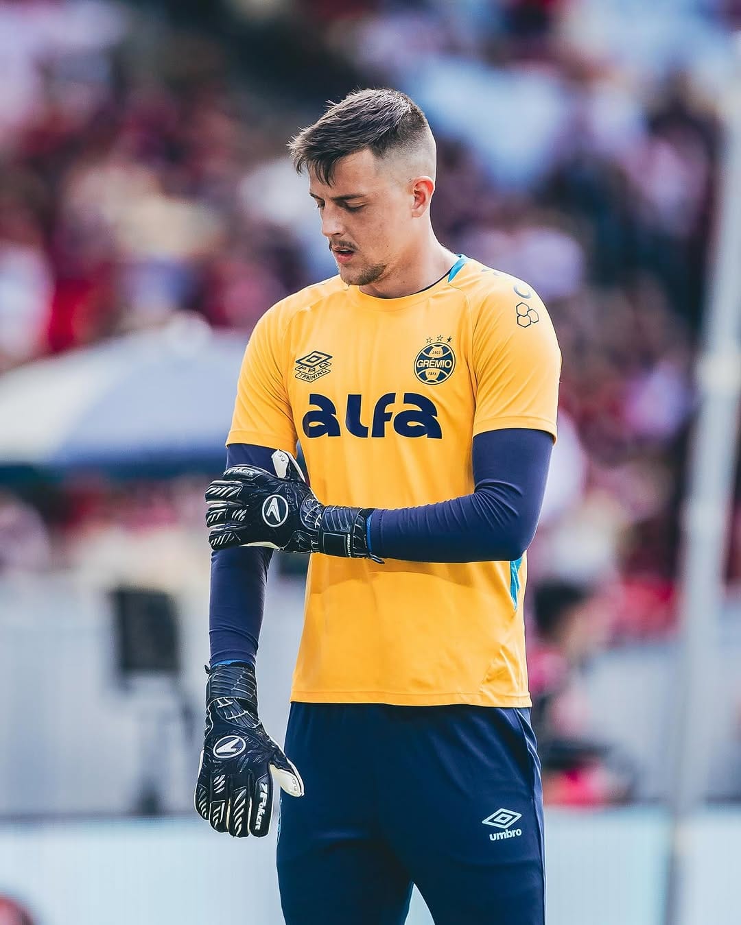 Post 9 by Thiago Beltrame on Instagram (carousel)