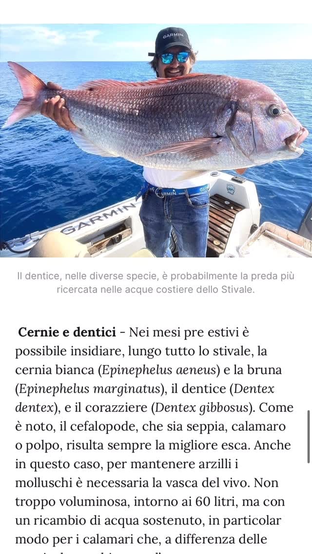 Post 5 by Manuel BluTuna on Instagram (video)