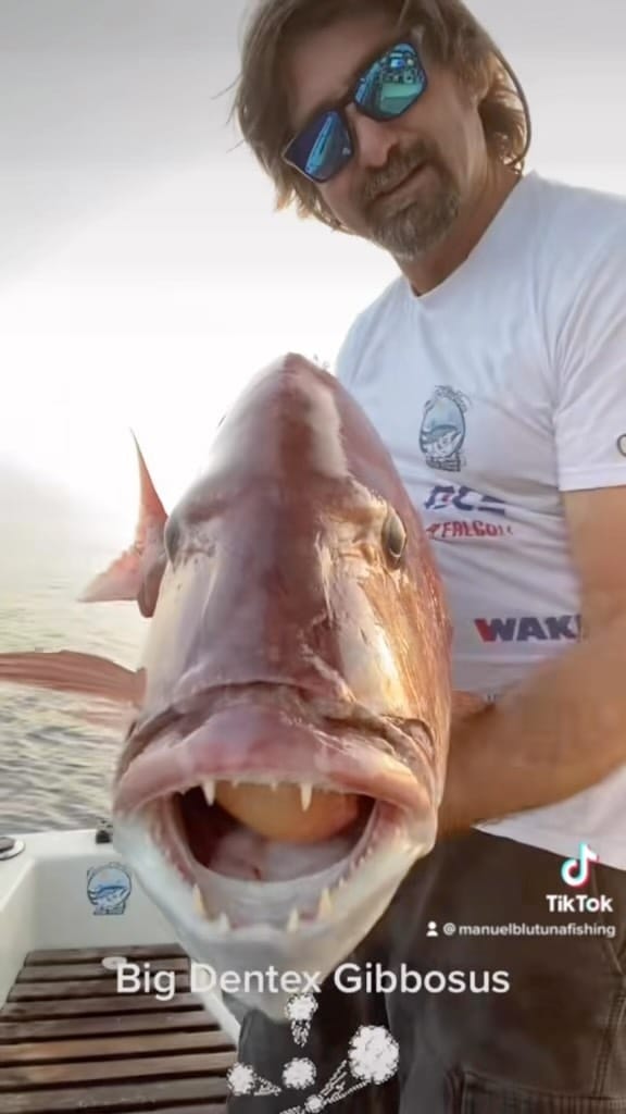 Post 9 by Manuel BluTuna on Instagram (video)