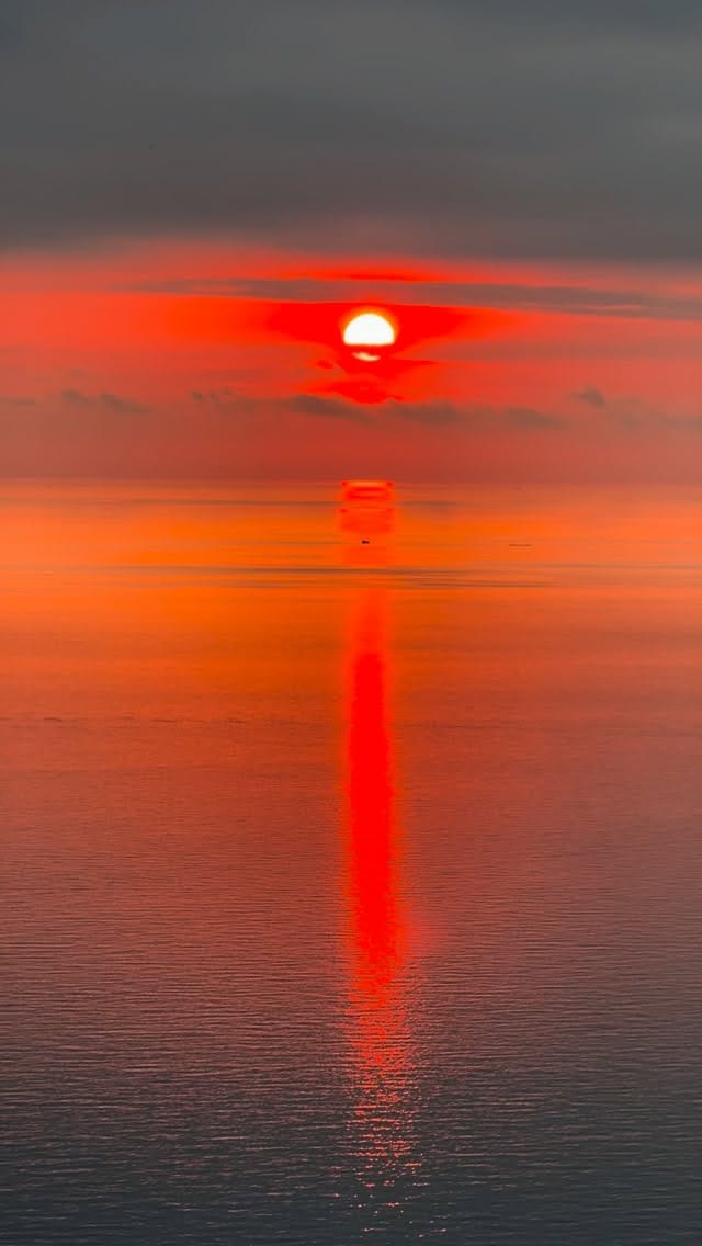 Post 7 by ᴀʟᴇx ғᴇʀʀᴀɴᴛᴇ on Instagram (video)