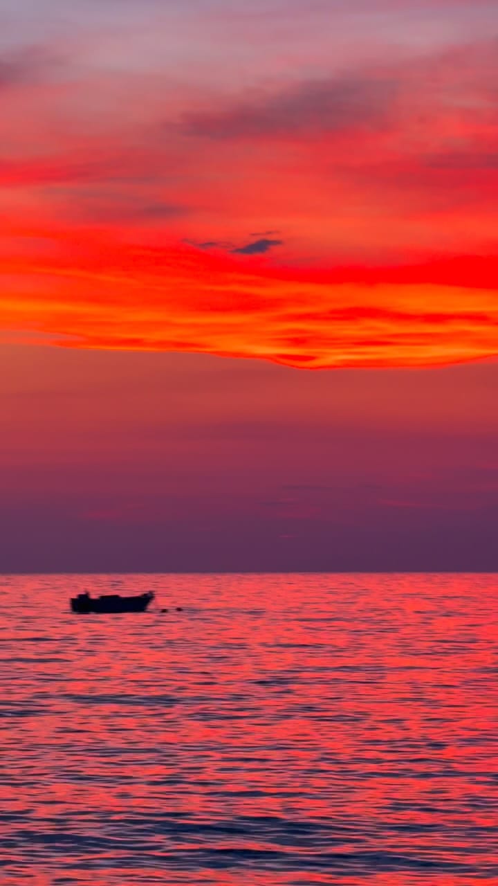 Post 3 by ᴀʟᴇx ғᴇʀʀᴀɴᴛᴇ on Instagram (video)