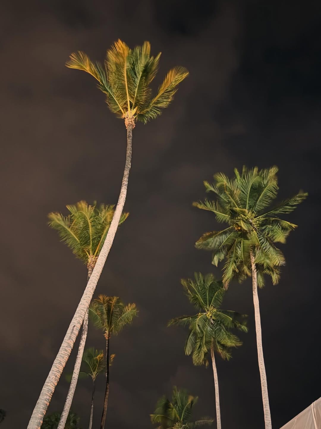 Post 4 by Andrè Sollund on Instagram (image)