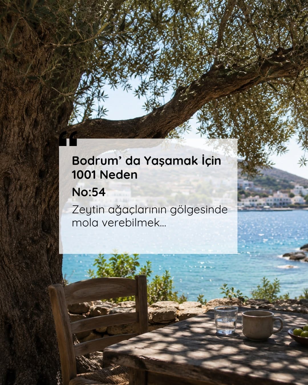 Post 3 by Sevil Ece Gümüş Kapar /Broker&Owner on Instagram (image)