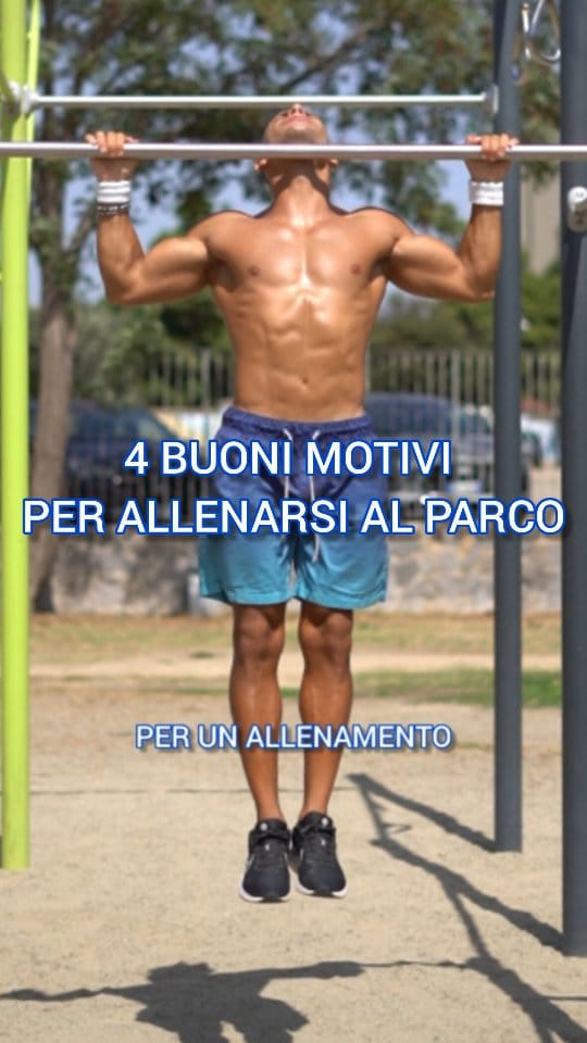 Post 4 by Daniele Piras | Fitness & Calisthenics Coach on Instagram (video)