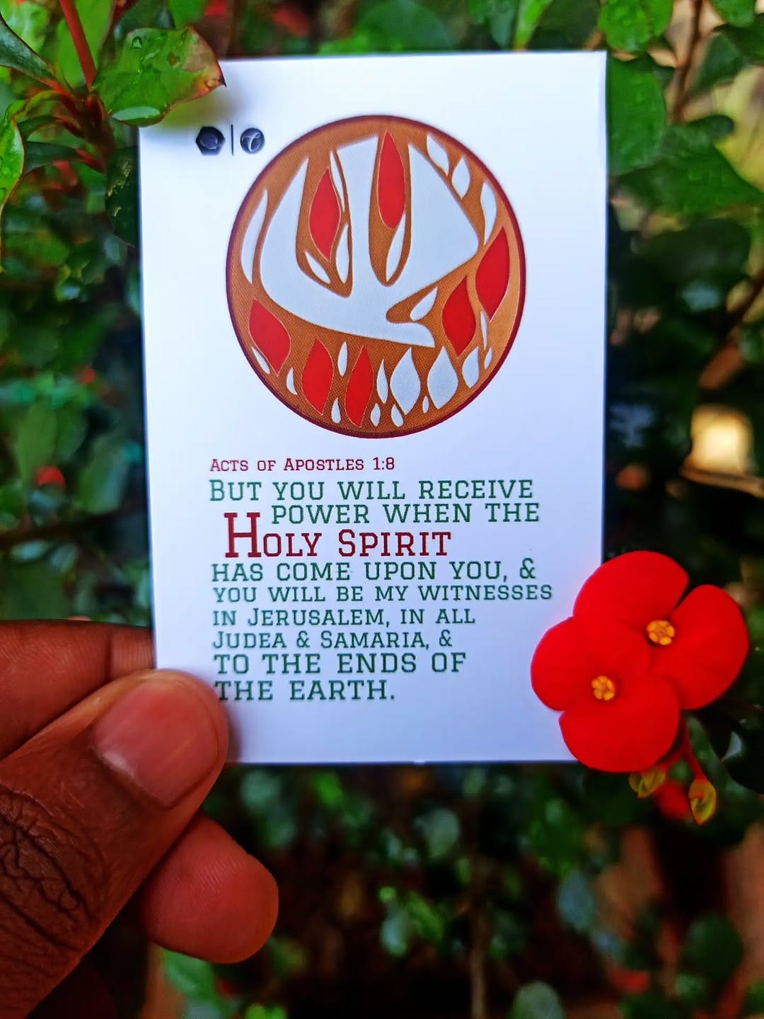 Post 6 by Catholicans on Instagram (image)