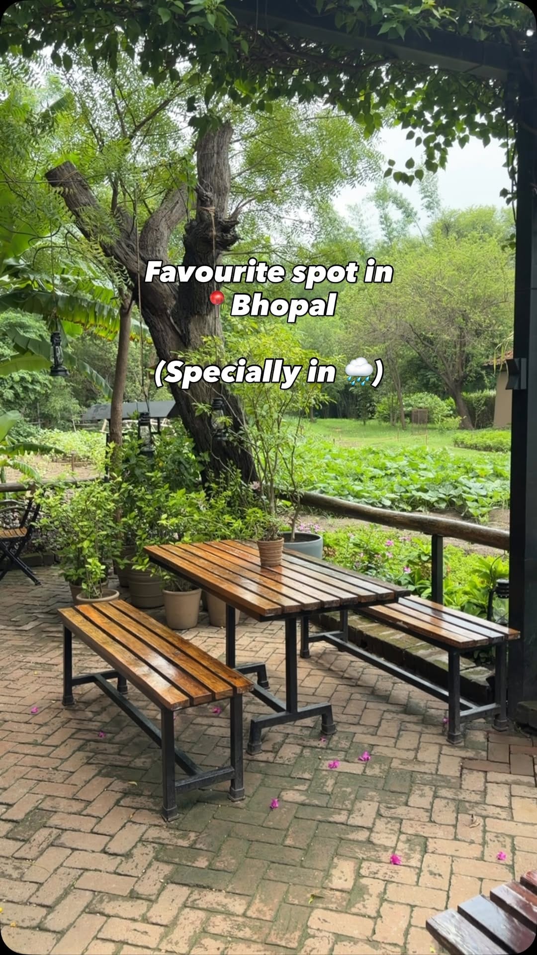 Post 3 by Riya Jhalani on Instagram (video)
