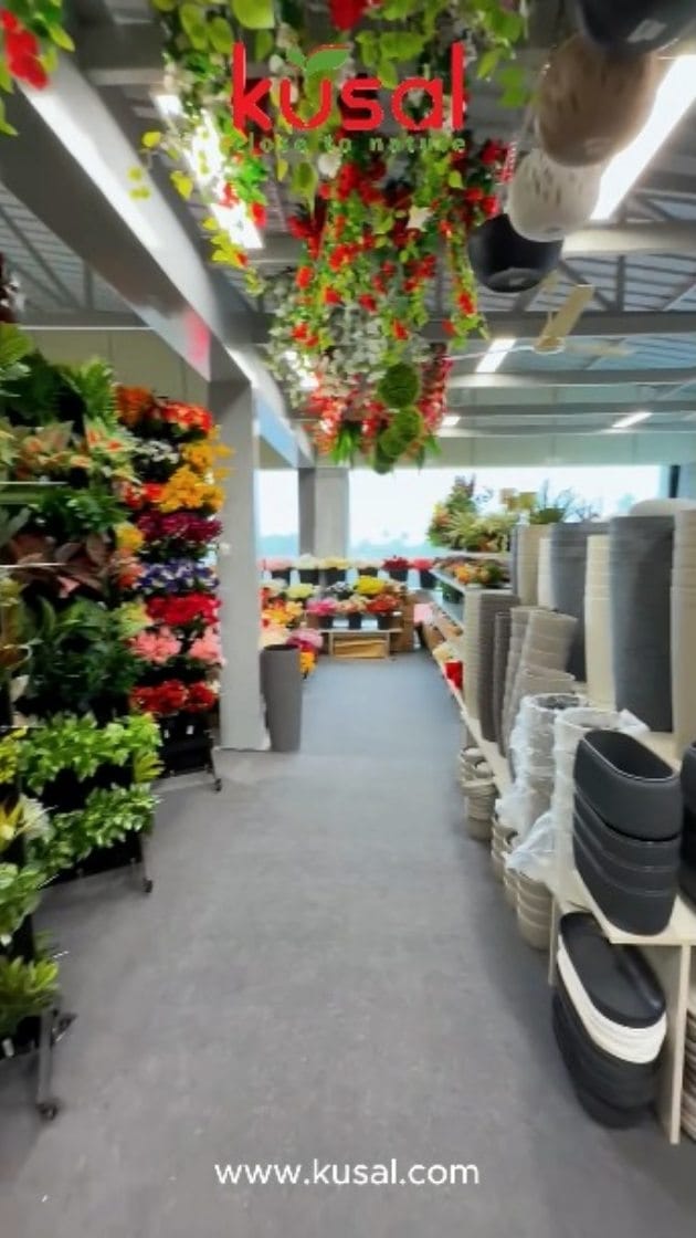Post 9 by Kusal - Artificial Plants Manufacturer | Home Decor on Instagram (video)