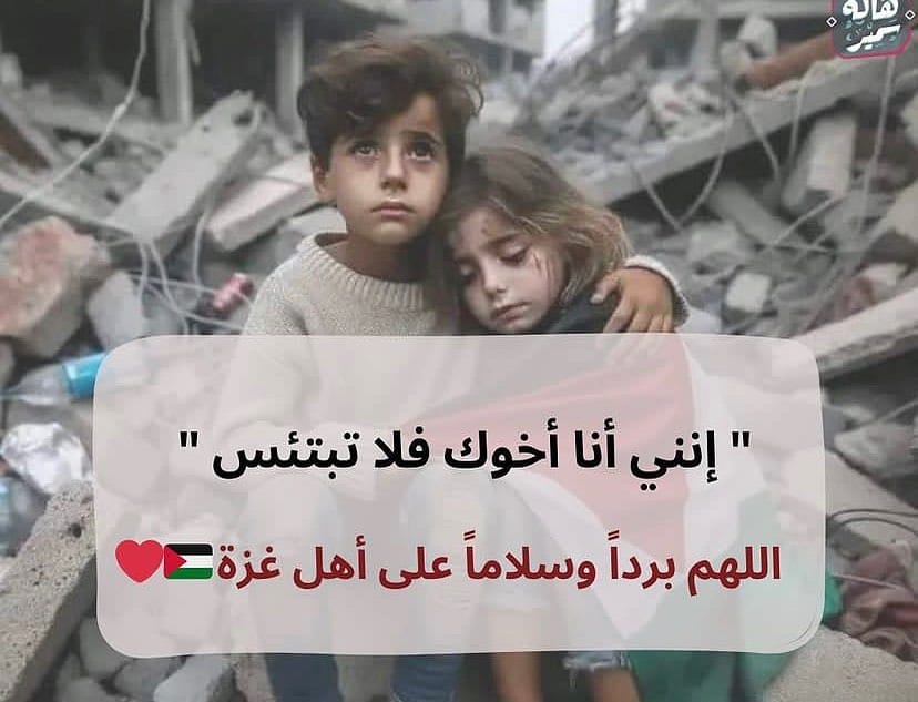 Post 9 by Nour on Instagram (image)