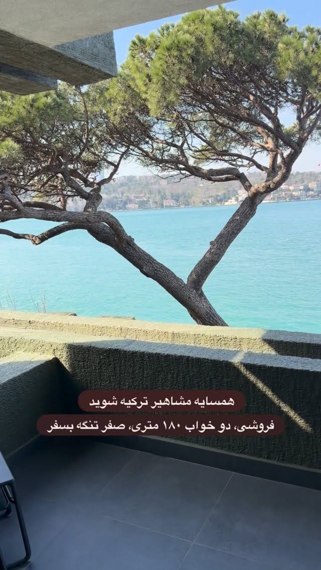 Post 7 by FARSHID ABOLSHAMS on Instagram (video)