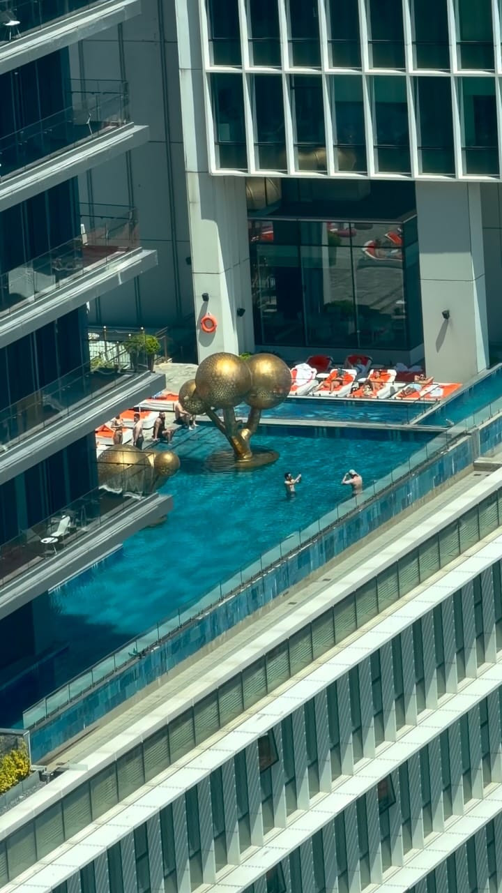 Post 2 by FARSHID ABOLSHAMS on Instagram (video)