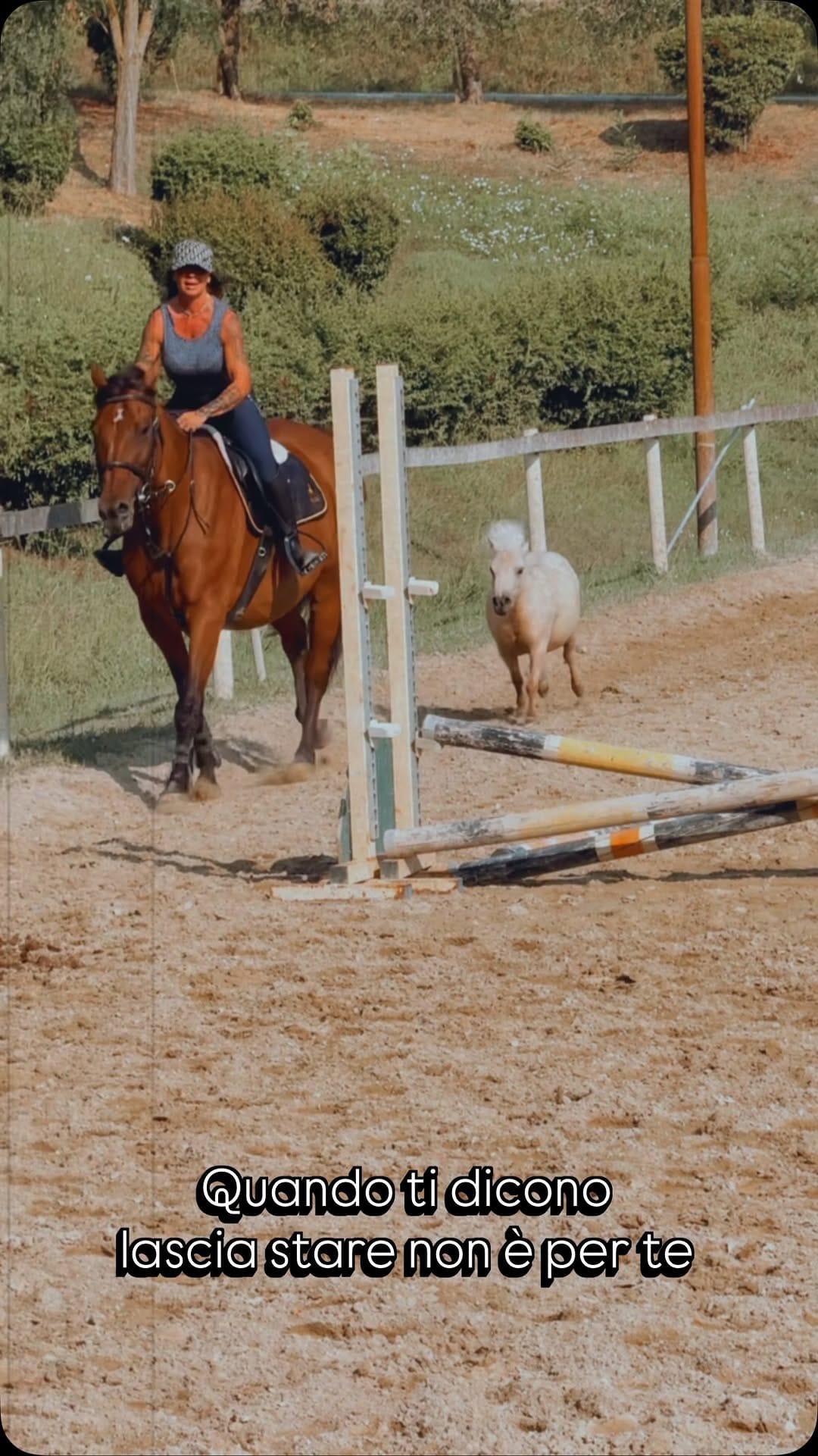 Post 1 by Milena Miccio on Instagram (video)