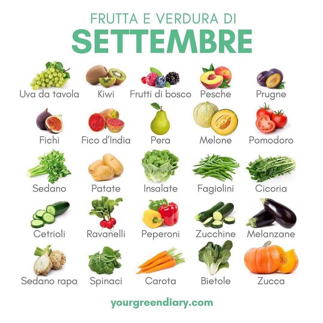 Post 1 by YourGreenDiary🔸Tina & Valeria on Instagram (image)