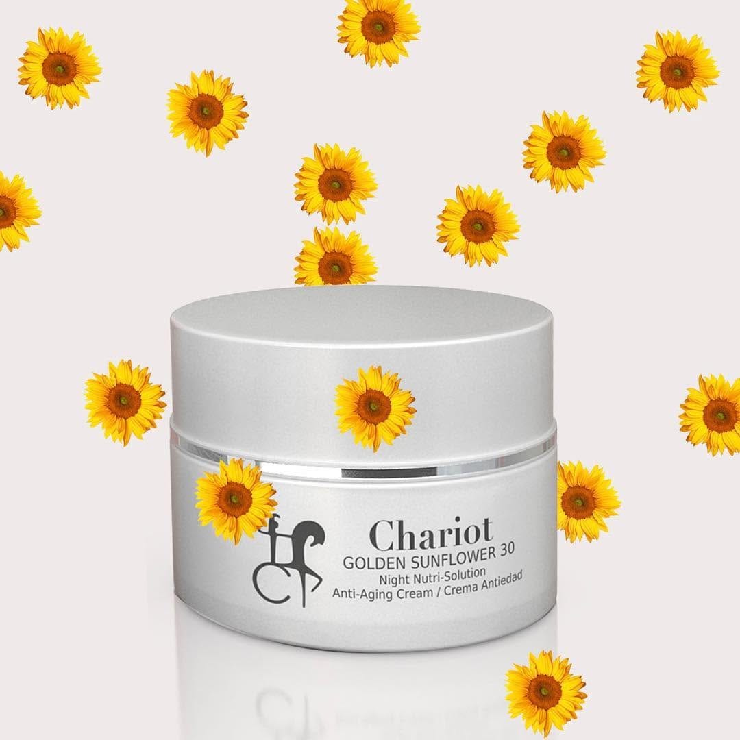 Post 3 by Chariot & Chariot on Instagram (image)