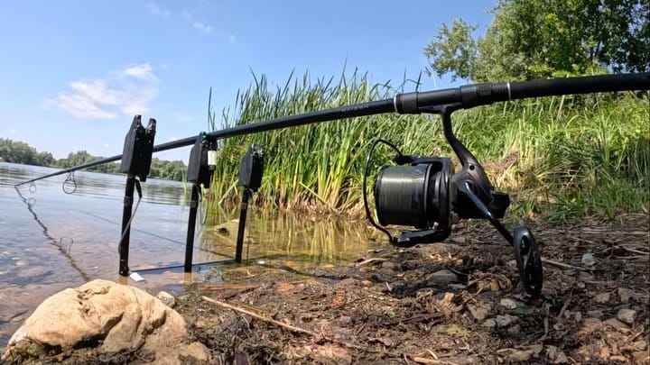 Post 6 by Okuma Carp on Instagram (video)
