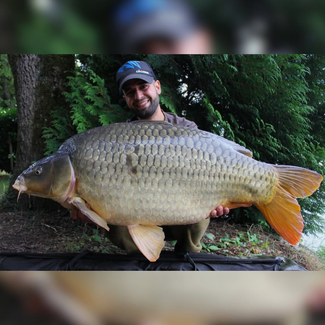 Post 3 by Okuma Carp on Instagram (image)