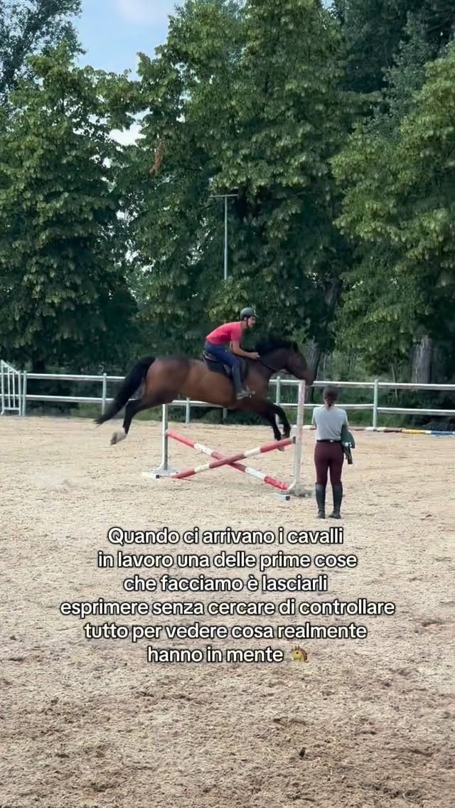 Post 3 by Giorgio Pagliaro on Instagram (video)
