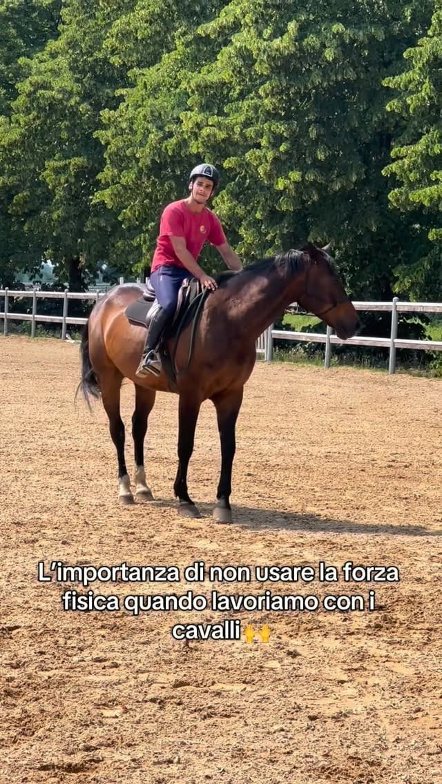 Post 4 by Giorgio Pagliaro on Instagram (video)