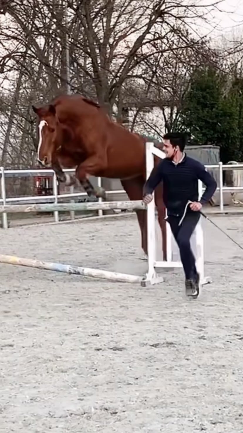 Post 9 by Giorgio Pagliaro on Instagram (video)