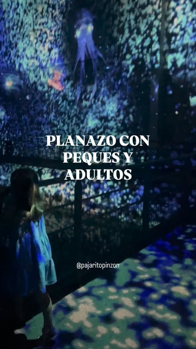 Post 3 by Laura on Instagram (video)