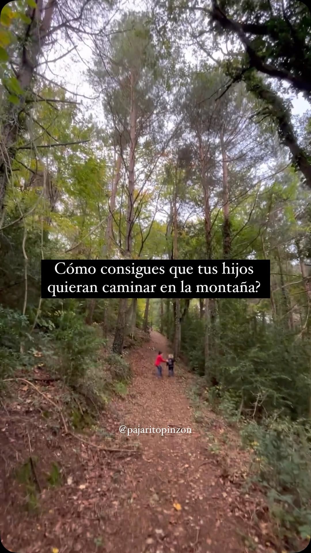 Post 10 by Laura on Instagram (video)