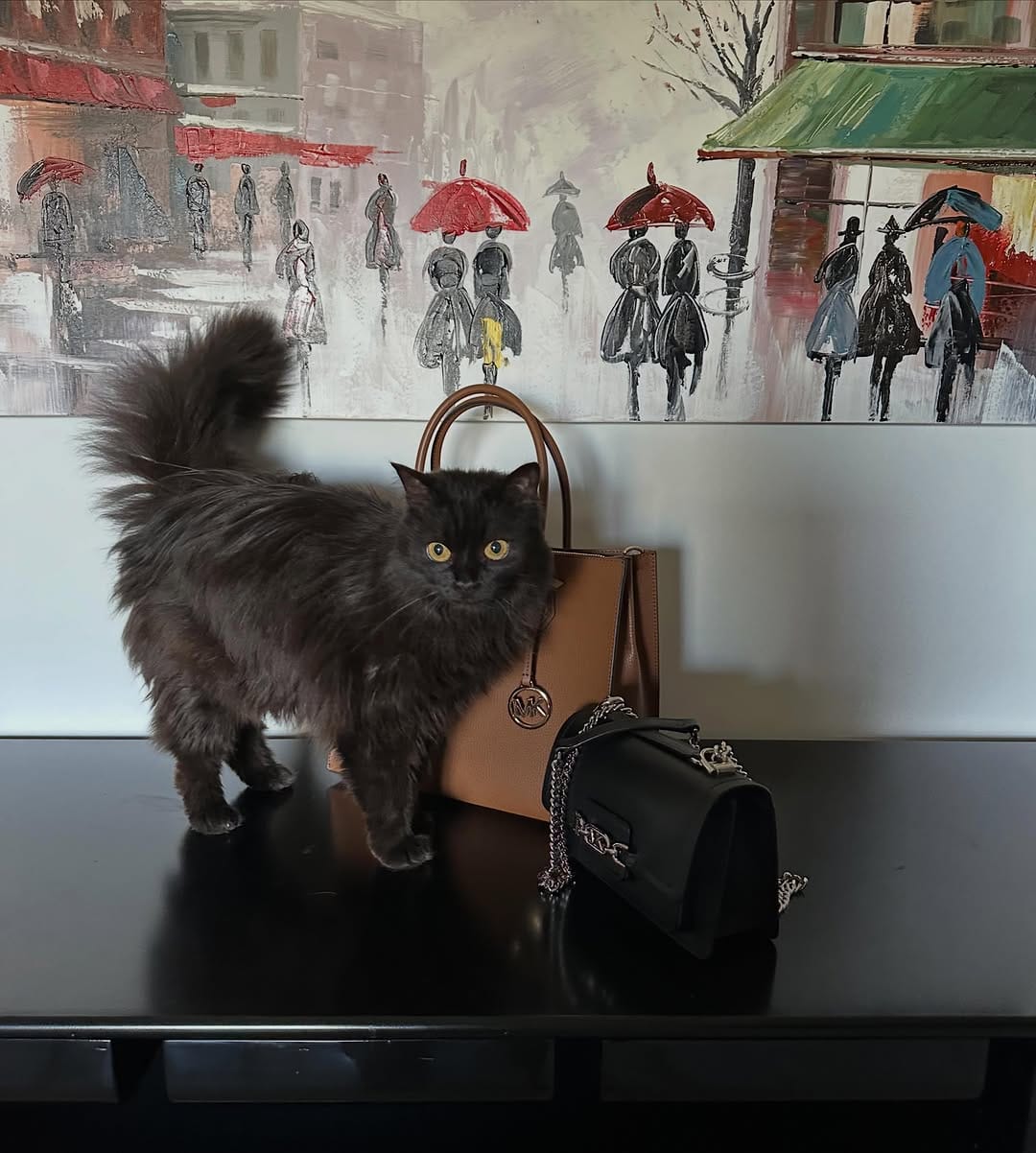 Post 9 by Emily 🖤👑🖤 on Instagram (carousel)