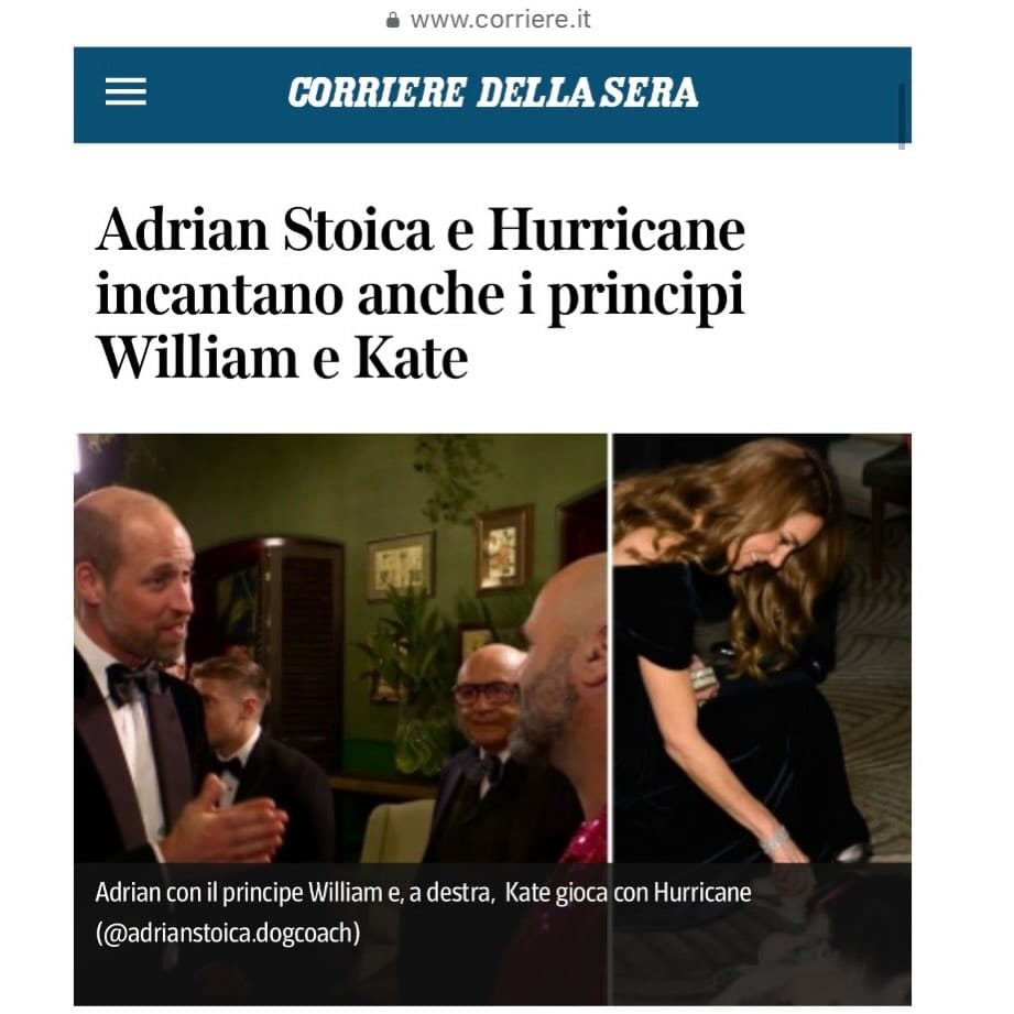 Post 2 by Adrian Stoica on Instagram (image)