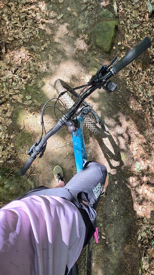 Post 5 by Eva Adamczyková - Samčízant on Instagram (video)
