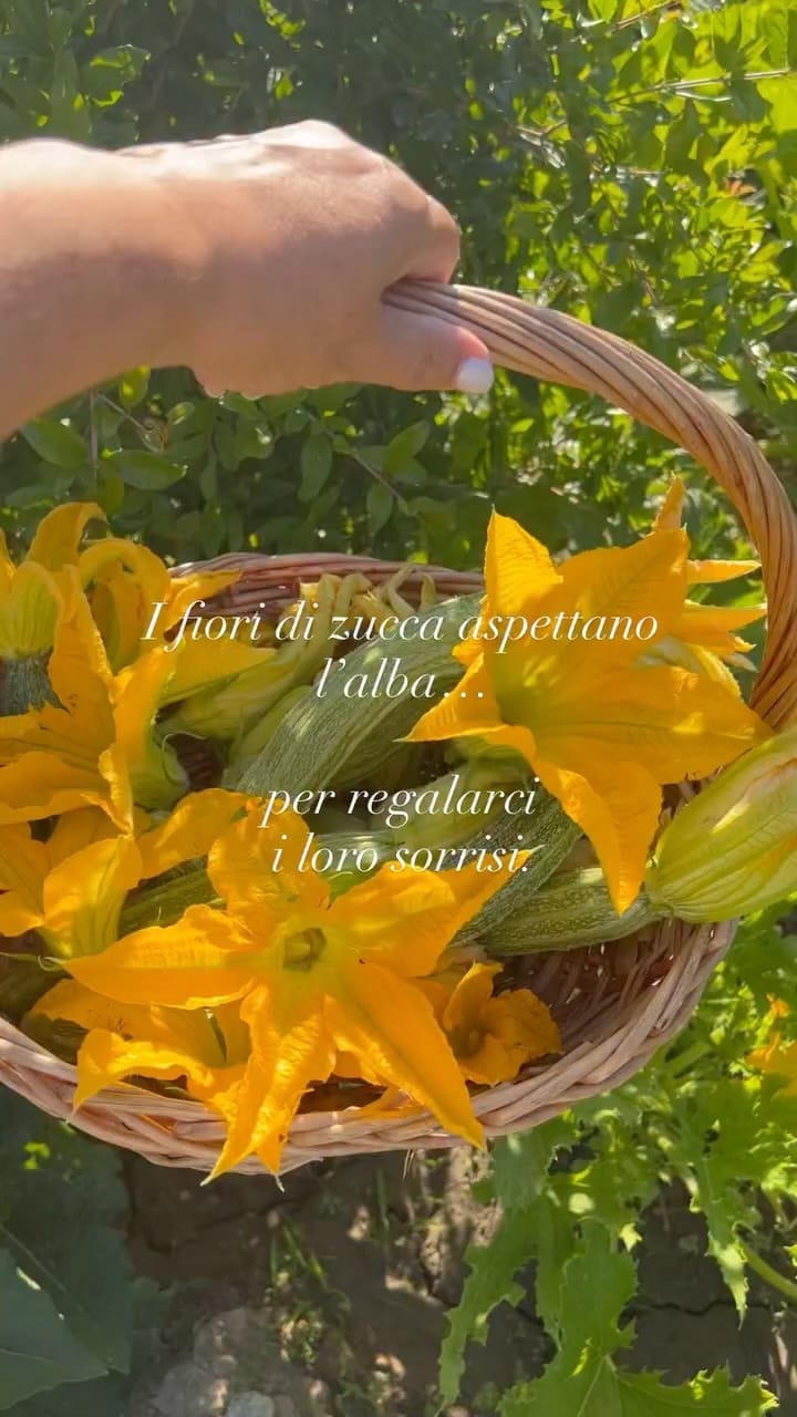 Post 7 by Mariassunta Gentile on Instagram (video)