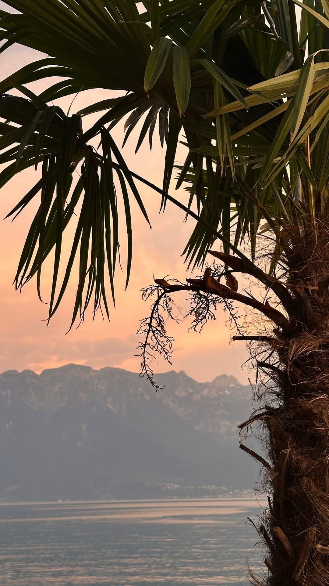 Post 8 by Our Sicily Dream on Instagram (video)