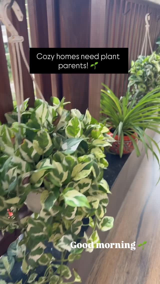 Post 6 by ＳＴＵＤＩＯ ＳＡＮＤBＯＸ• Ar. Ishitaa Pathak 🧿 on Instagram (video)