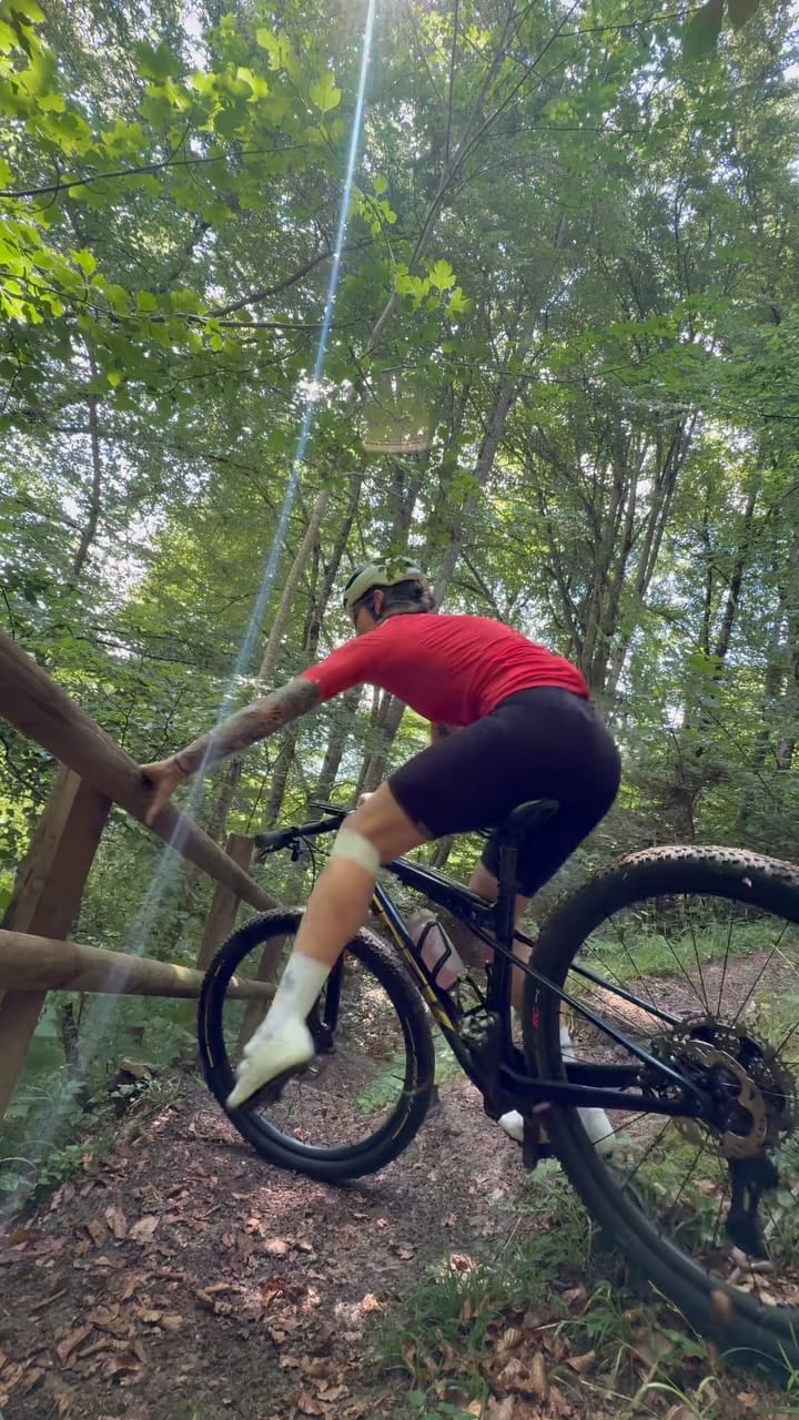 Post 7 by MTB • Birgit Bless on Instagram (video)