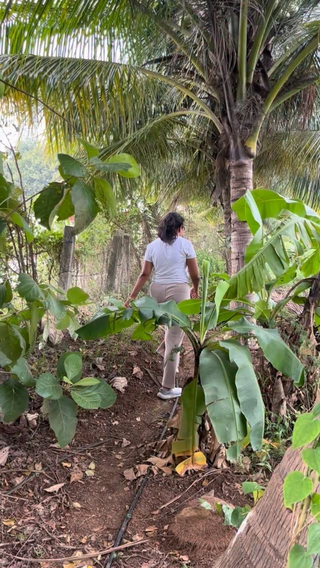 Post 8 by Naturley - Organic on Instagram (video)