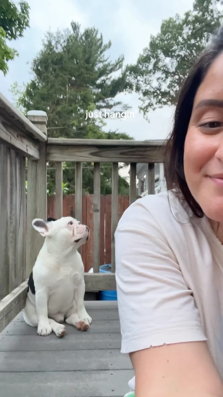 Post 8 by Romeo & Howie on Instagram (video)