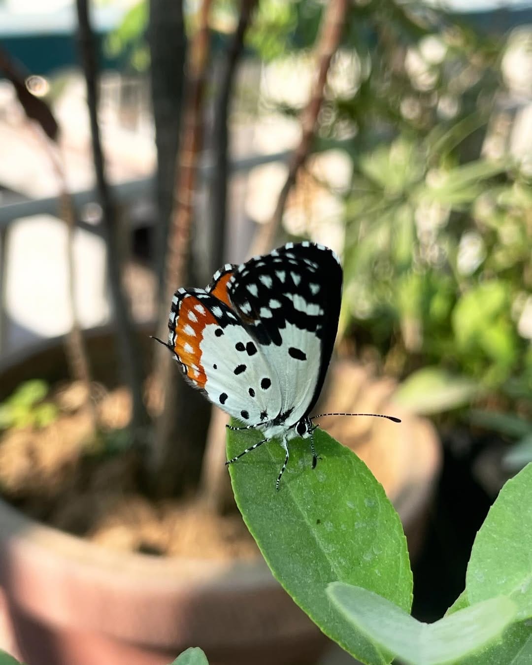 Post 8 by Shivang Mahajan on Instagram (carousel)