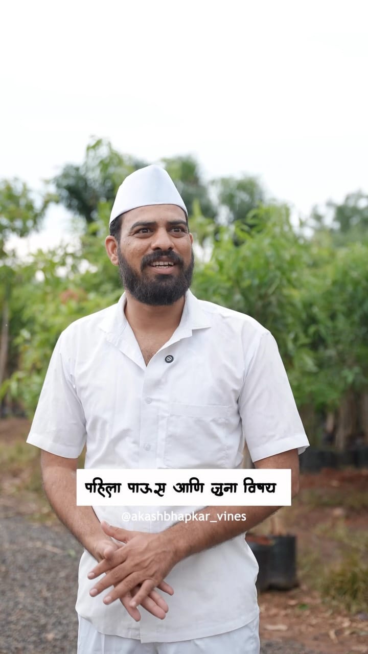 Post 2 by Sanas Wholesale Nursery  (Uruli-Pune ) on Instagram (video)