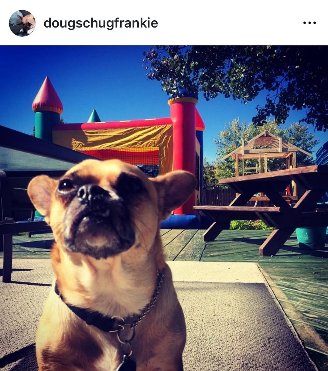 Post 1 by Douglas Swankler on Instagram (carousel)