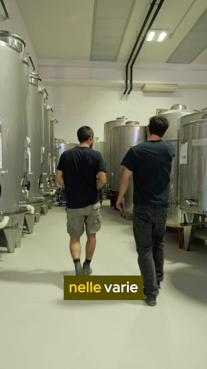 Post 2 by Frantoio Montecchia on Instagram (video)
