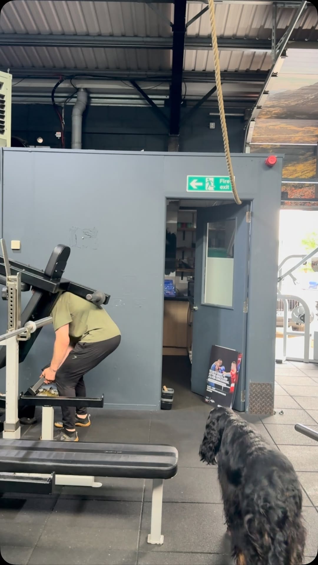 Post 4 by JP’s Gym® on Instagram (video)