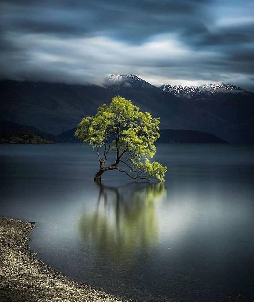 Post 5 by Lonely Trees on Instagram (image)
