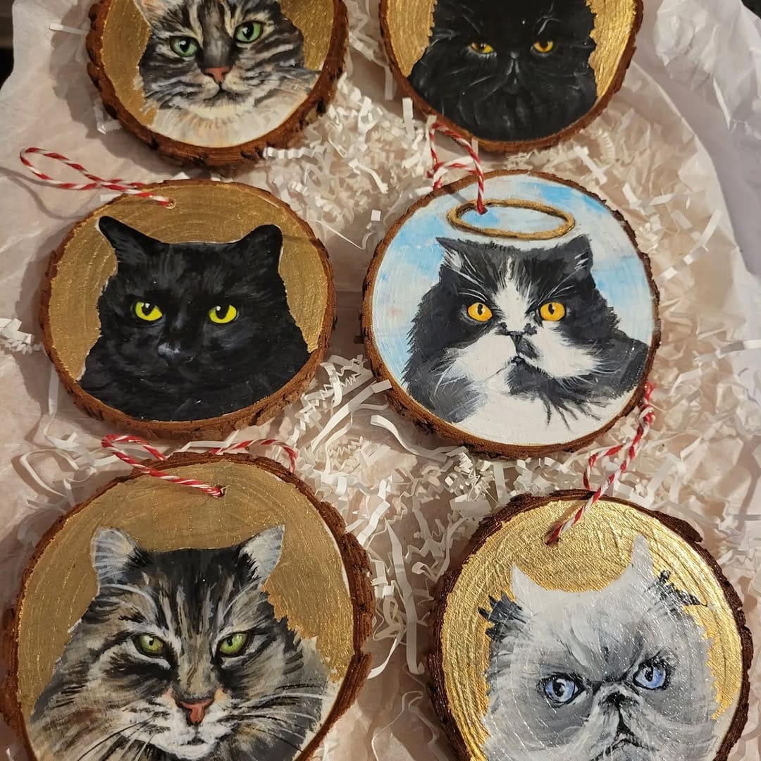 Post 5 by Momo and The Floof Mafia on Instagram (carousel)