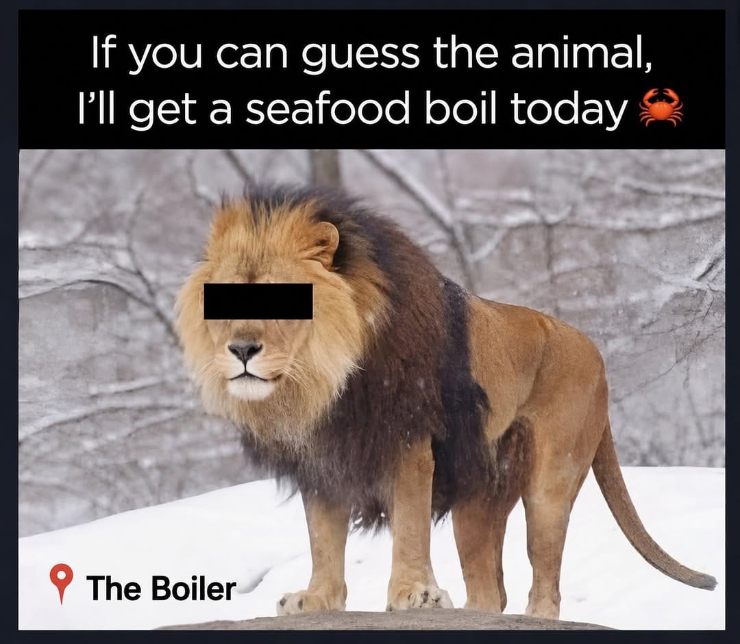 Post 2 by The Boiler Atlanta Crab Boil on Instagram (image)
