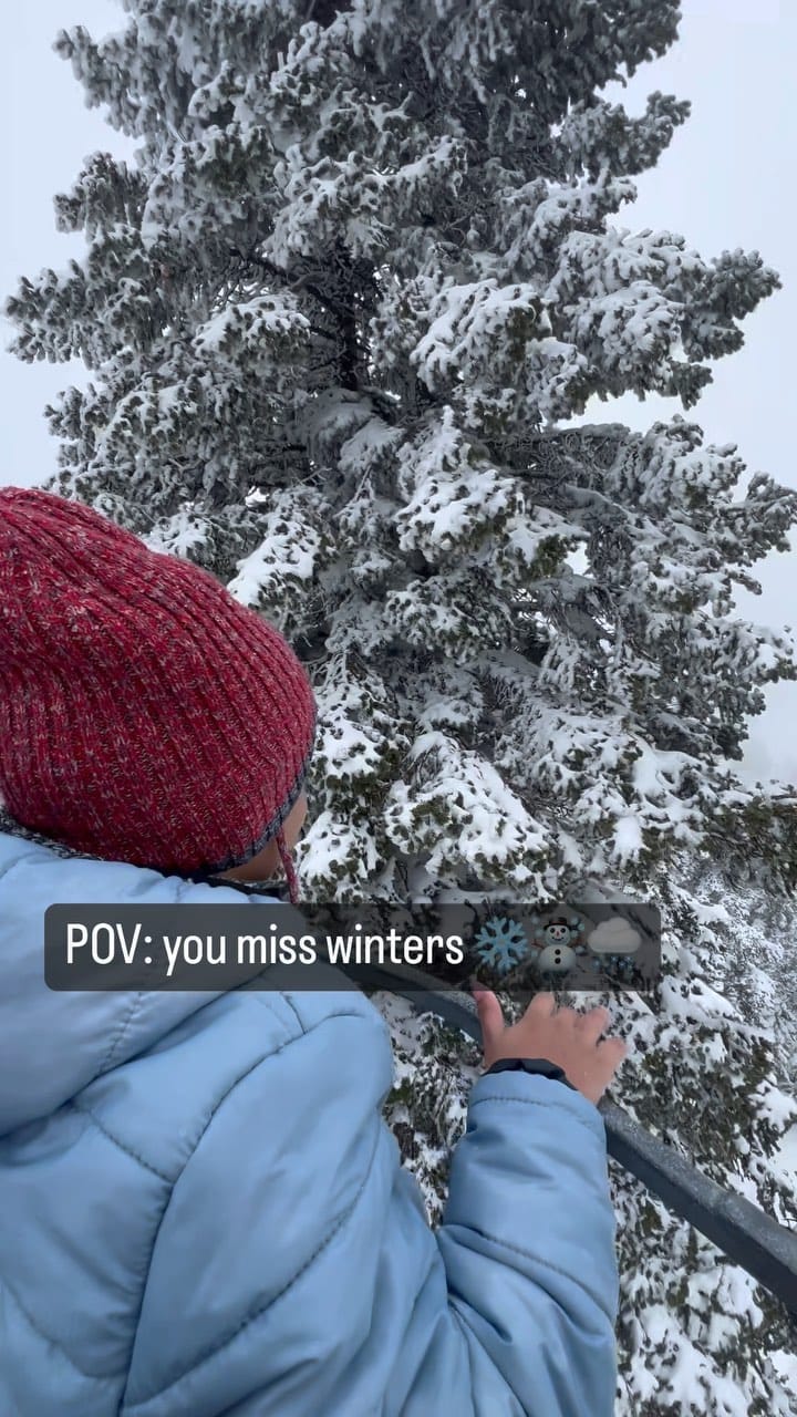 Post 10 by Ayesha Farheen on Instagram (video)