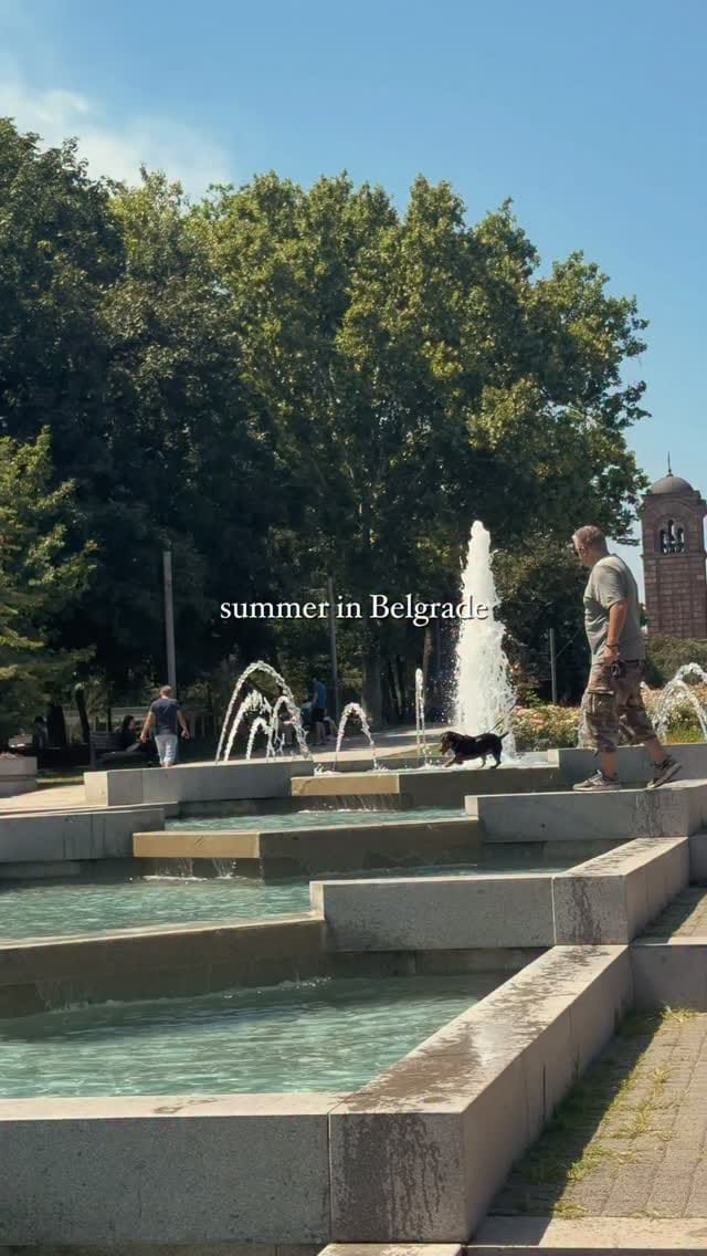 Post 6 by Stefan Milanov | food & lifestyle on Instagram (video)