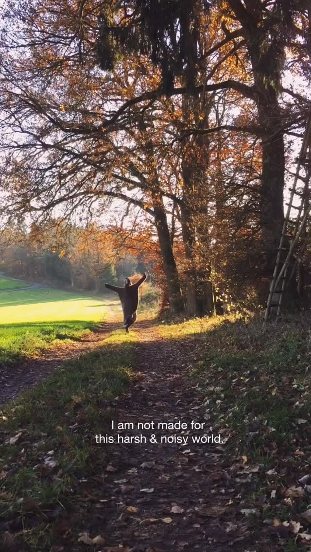 Post 5 by Anneliese on Instagram (video)