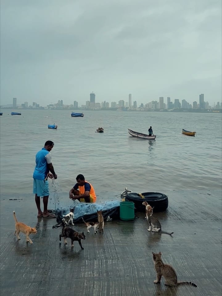 Post 5 by Prajay Katkoria on Instagram (carousel)